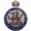 Glamorgan Special Constabulary Enamelled Lapel Badge - King's Crown
