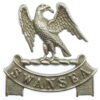 Swansea Borough Police White Metal Collar Badge
