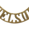 WW1 Nelson Battalion Royal Naval Division (NELSON) Shoulder Title