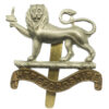 Herefordshire Regiment Cap Badge