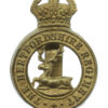 Hertfordshire Regiment Cap Badge - King's Crown