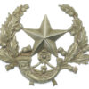 Cameronians (Scottish Rifles) Cap Badge