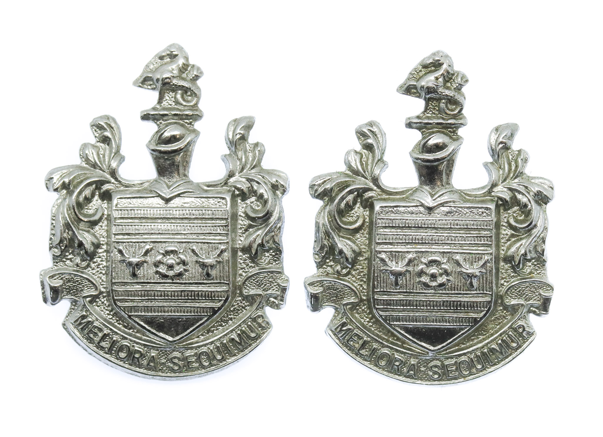 Pair of Eastbourne Borough Police Collar Badges