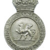 British Transport Commission Police Cap Badge - King's Crown