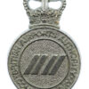 British Airports Authority Constabulary Cap Badge - Queen's Crown