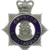 Gwynedd Constabulary Senior Officer's Enamelled Cap Badge - Queen's Crown