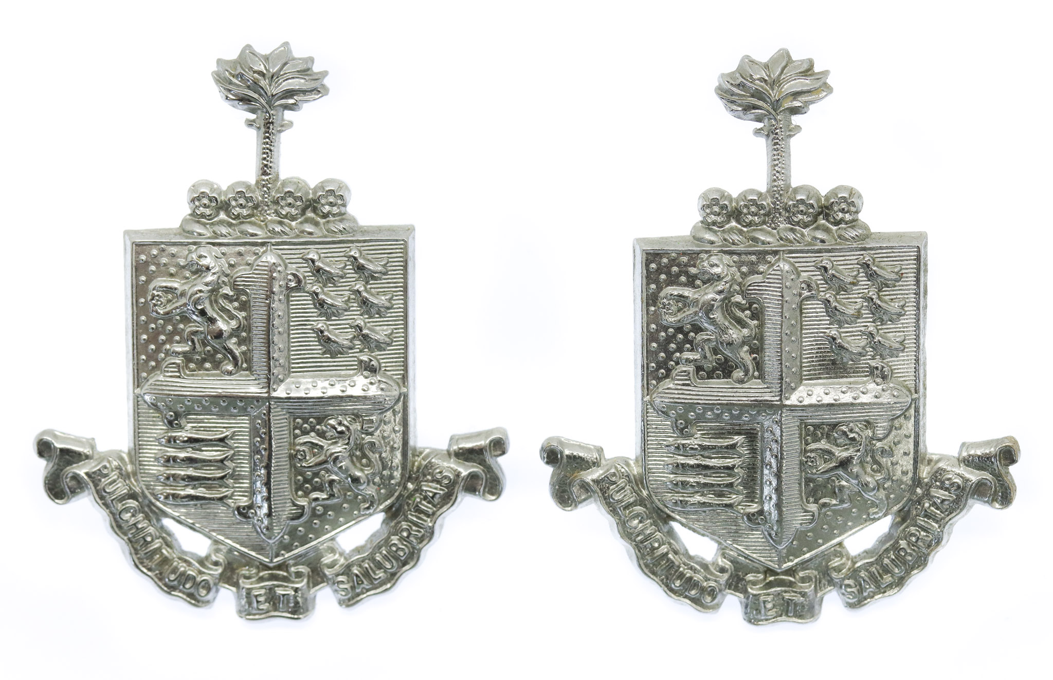 Pair of Bournemouth Borough Police Collar Badges