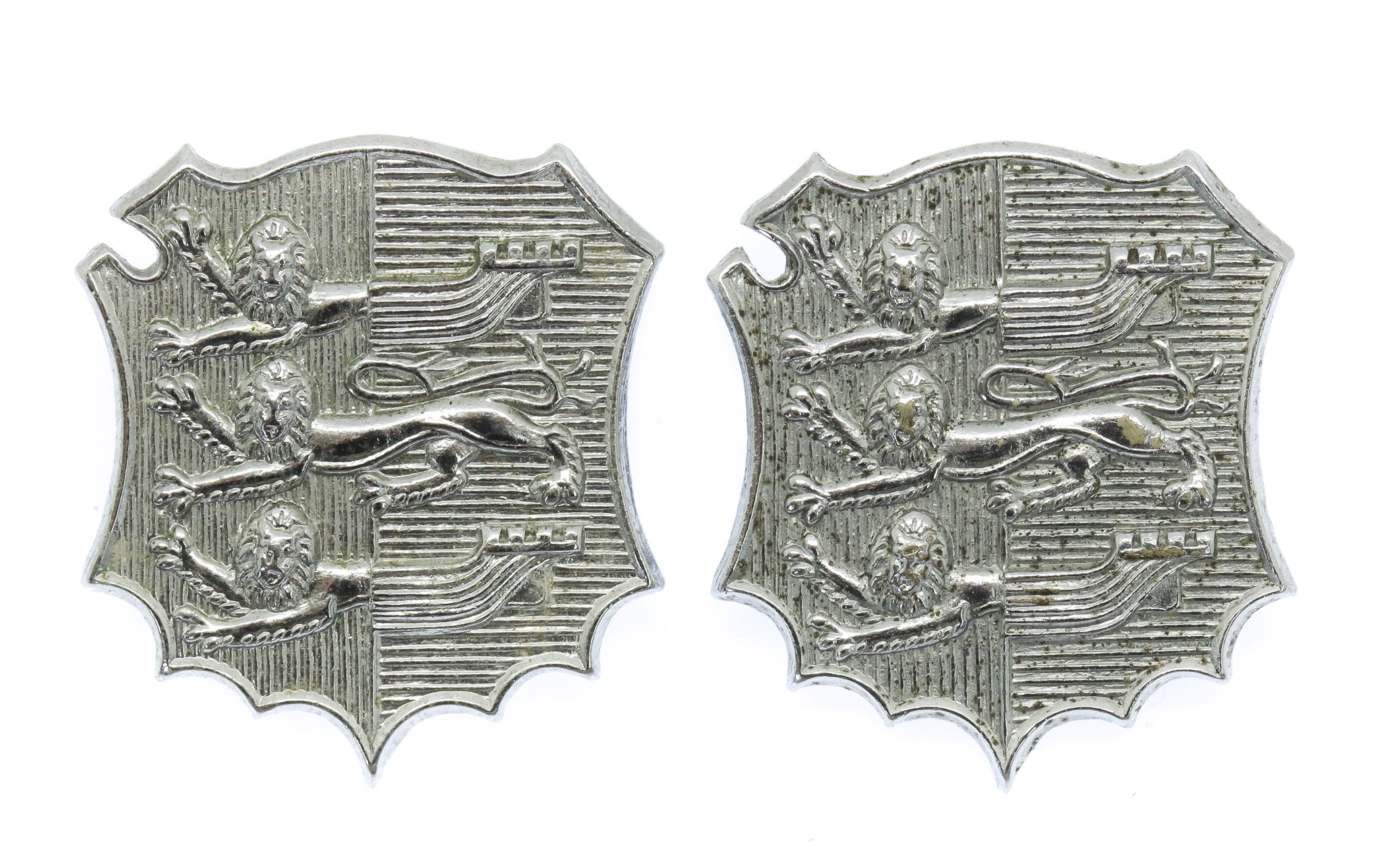 Pair of Hastings Borough Police Collar Badges