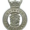 Gwynedd Constabulary Cap Badge - Queen's Crown