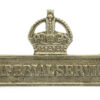 WW1 Territorial Force Imperial Service Badge