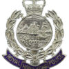 Royal Hong Kong Police Enamelled Cap Badge - Queen's Crown