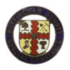 Nottingham County Special Constable 1914 Enamelled Lapel Badge