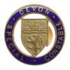 Devon Special Constabulary Special Constable Enamelled Lapel Badge