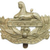 Gloucestershire Regiment Cap Badge