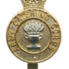 Army Catering Corps Anodised (Staybrite) Cap Badge 