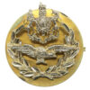 Royal Air Force (R.A.F.) Master Aircrew Anodised (Staybrite) Rank Badge