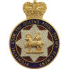 The Queen's Royal Surrey Regiment Association Enamelled Lapel Badge