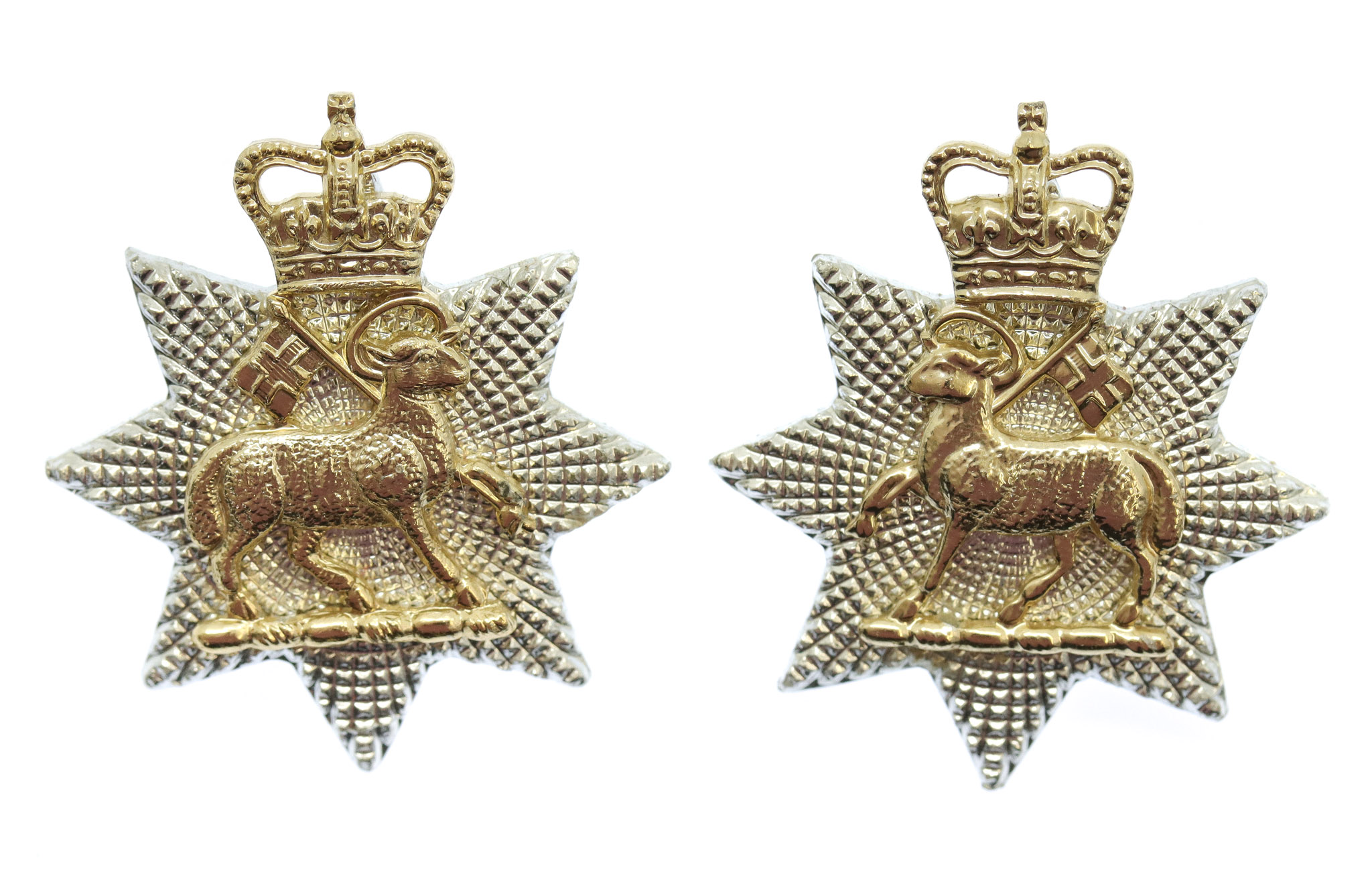 Pair of Queen's (Royal West Surrey) Regiment Anodised (Staybrite) Collar Badges
