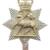 The Queen's (Royal West Surrey) Regiment Anodised (Staybrite) Cap Badge