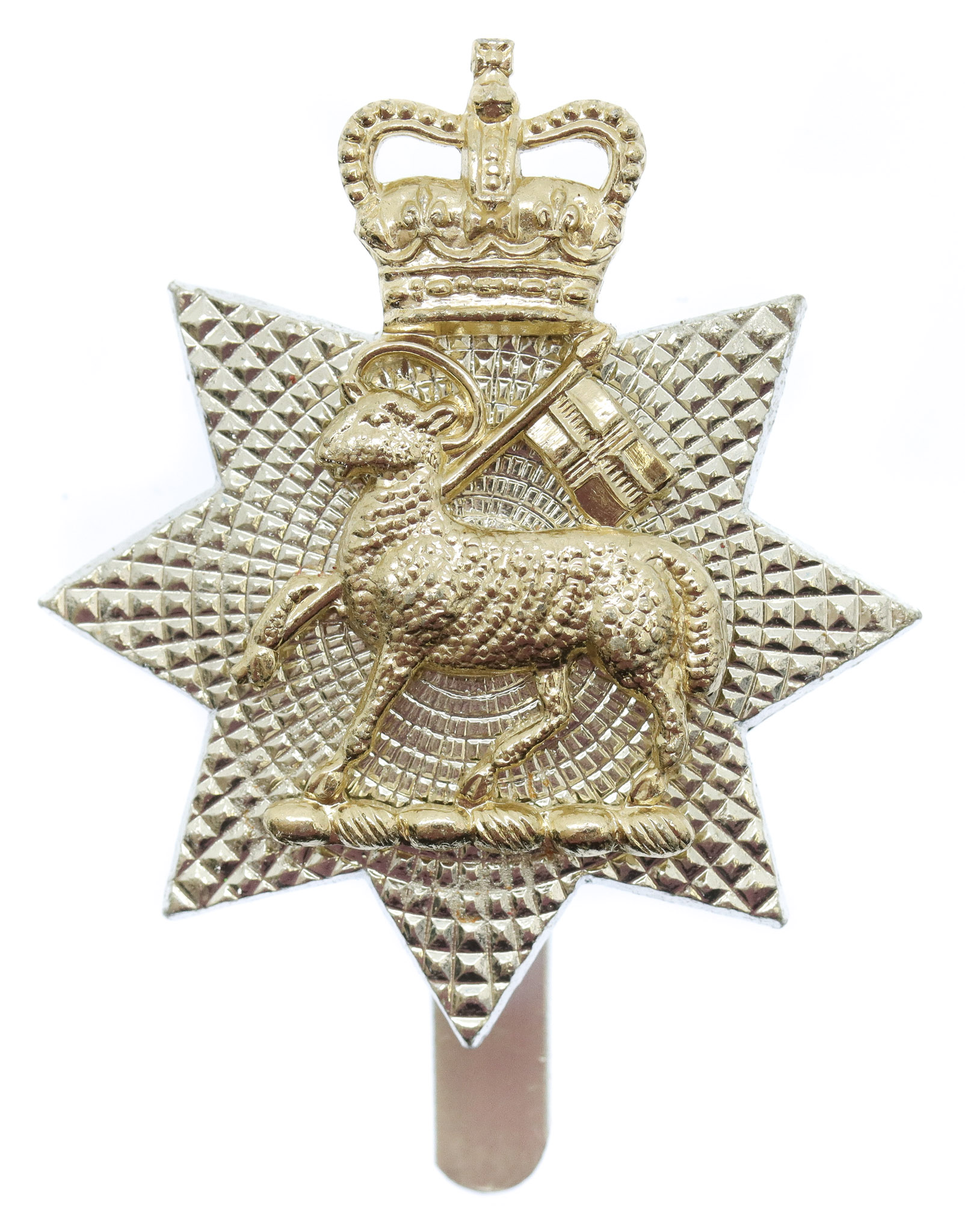 The Queen's (Royal West Surrey) Regiment Anodised (Staybrite) Cap Badge