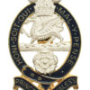 Princess of Wales's Royal Regiment Enamelled Cap Badge
