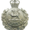 Glamorgan Constabulary Chrome Wreath Helmet Plate - Queen's Crown