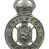 Brighton Borough Police Cap Badge - King's Crown