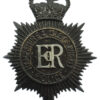 Hampshire & Isle of Wight Police Night Helmet Plate - Queen's Crown