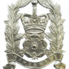 Hampshire Constabulary Constables Helmet Plate - Queen's Crown