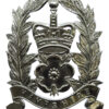 Hampshire Constabulary Constables Helmet Plate - Queen's Crown