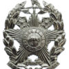 Leeds City Police Chrome Helmet Plate