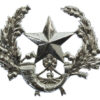 Cameronians (Scottish Rifles) Anodised (Staybrite) Cap Badge