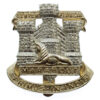 Devon & Dorset Regiment Anodised (Staybrite) Cap Badge