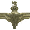 WW2 Parachute Regiment Cap Badge