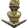 Royal Australian Army Educational Corps Anodised (Staybrite) Hat Badge
