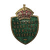 National Hospital Service Reserve Enamelled Lapel Badge - King's Crown