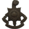 Royal Sussex Regiment Officer's Service Dress Collar Badge