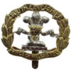 South Lancashire Regiment Anodised (Staybrite) Cap Badge 