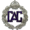 WW2 Civil Air Guard Enamelled Cap Badge