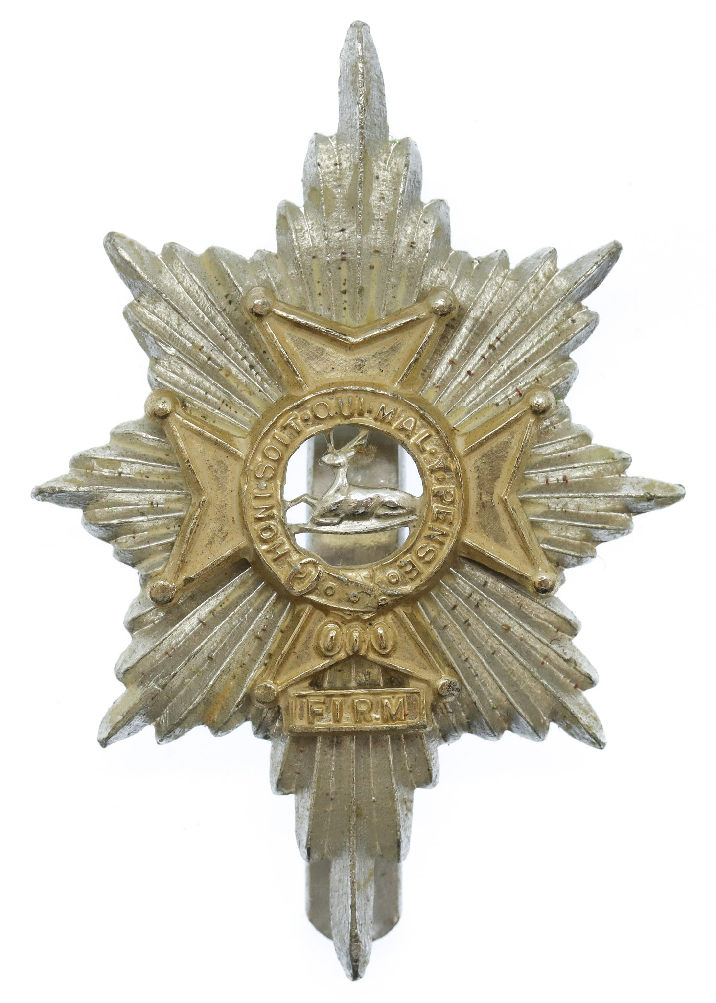 Worcestershire & Sherwood Foresters Anodised (Staybrite) Cap Badge