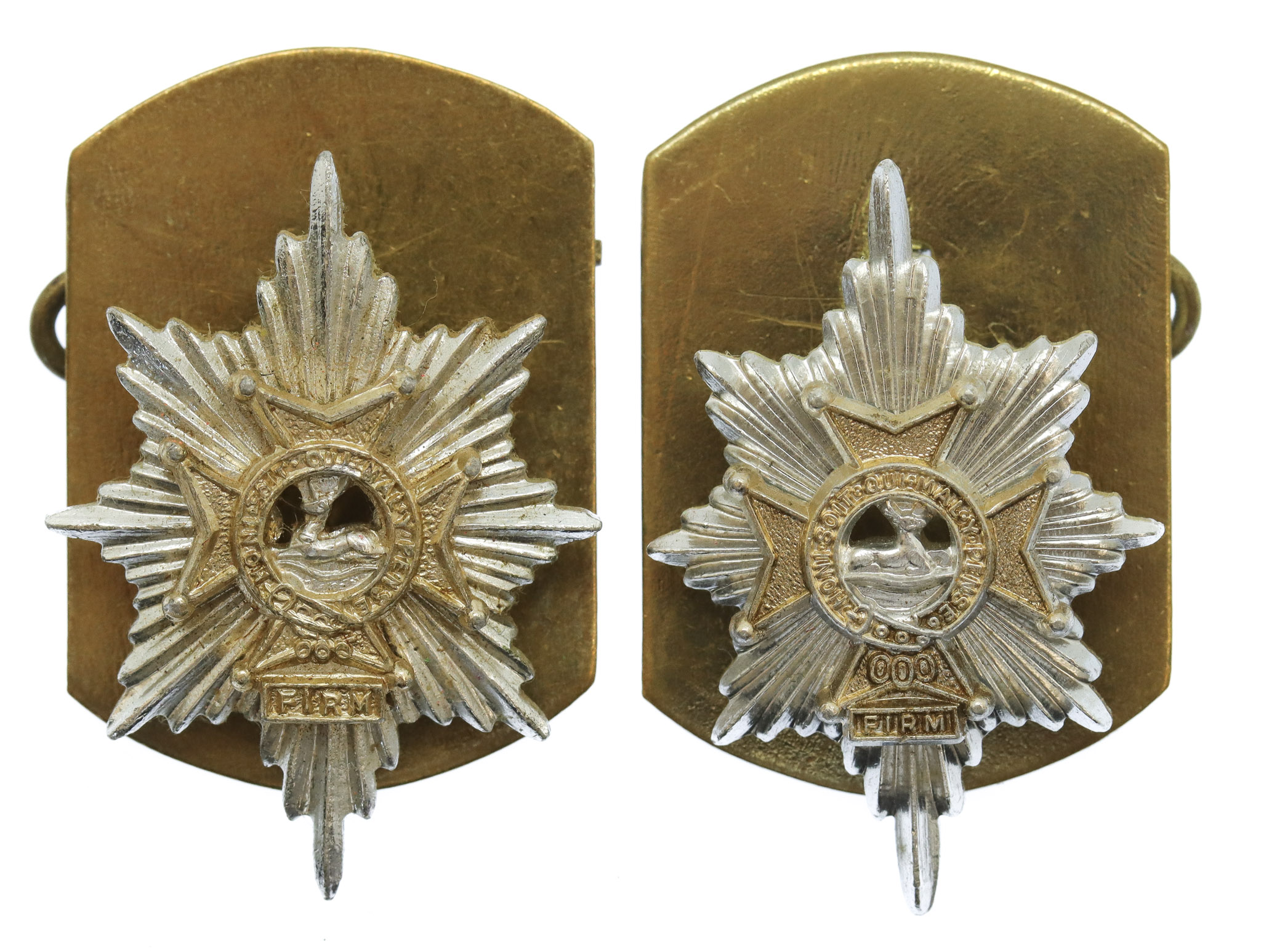 Pair of Worcestershire & Sherwood Foresters Anodised (Staybrite) Collar Badges