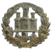 Northamptonshire Regiment Anodised (Staybrite) Cap Badge