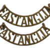 Pair of East Anglian Brigade (EAST ANGLIA) Shoulder Titles