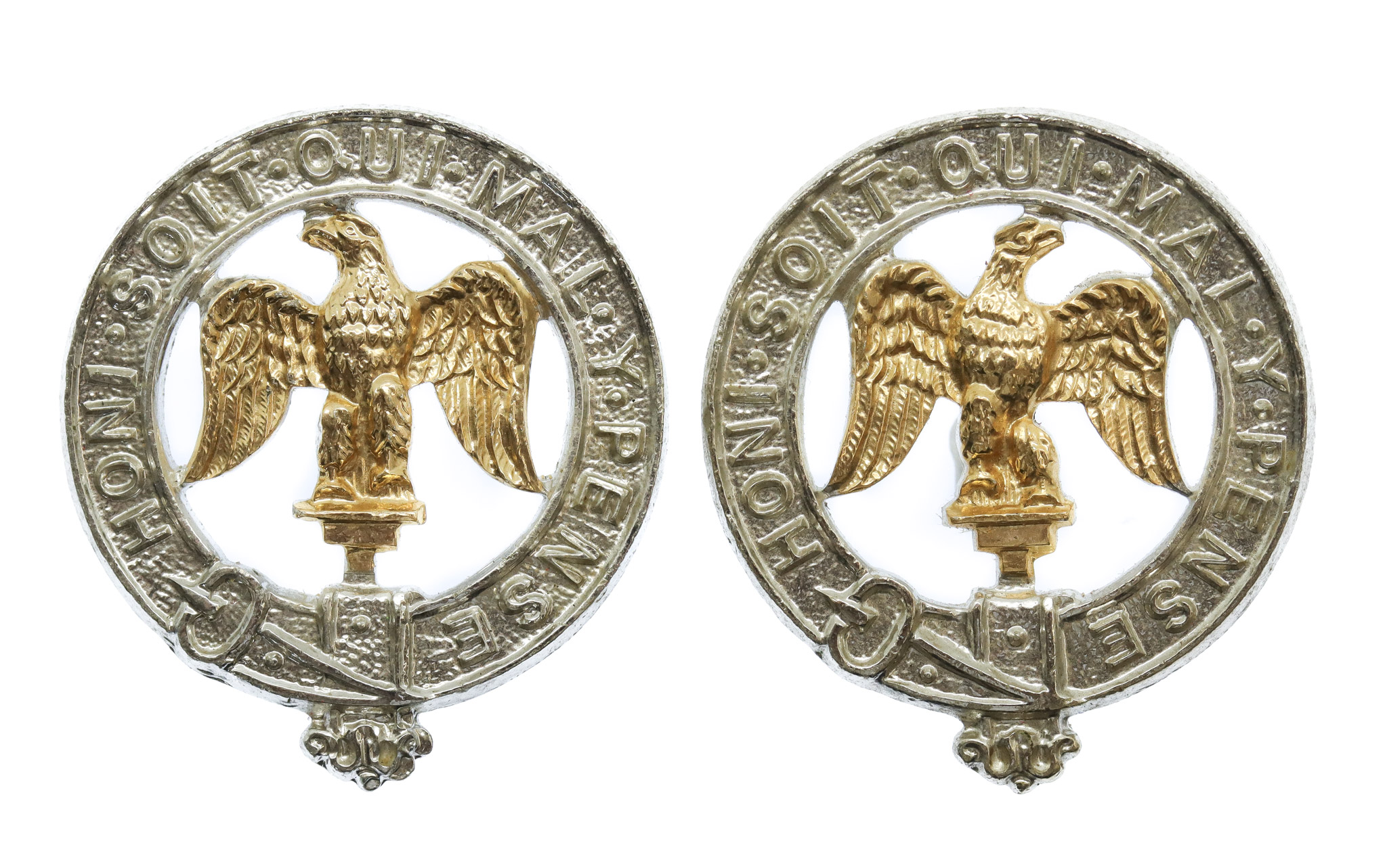 Pair of 3rd Bn. Royal Anglian Regiment Anodised (Staybrite) Collar Badges