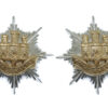 Pair of Royal Anglian Regiment Anodised (Staybrite) Collar Badges
