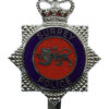 Surrey Police Enamelled Star Cap Badge - Queen's Crown