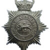 Surrey Constabulary Plastic Helmet Plate - Queen's Crown