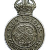 Bedfordshire Special Constabulary Cap Badge - King's Crown