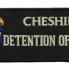 Cheshire Constabulary Detention Officer Cloth Patch Badge