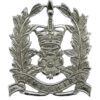 Hampshire Constabulary Constables Cap Badge - Queen's Crown
